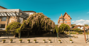 Rua Coberta em Gramado - Ponto turístico icônico da cidade Praça com arco de flores cor-de-rosa cobrindo um caminho pavimentado, cercada por edifícios com arquitetura europeia e vasos de plantas ao longo do passeio, sob céu azul claro.